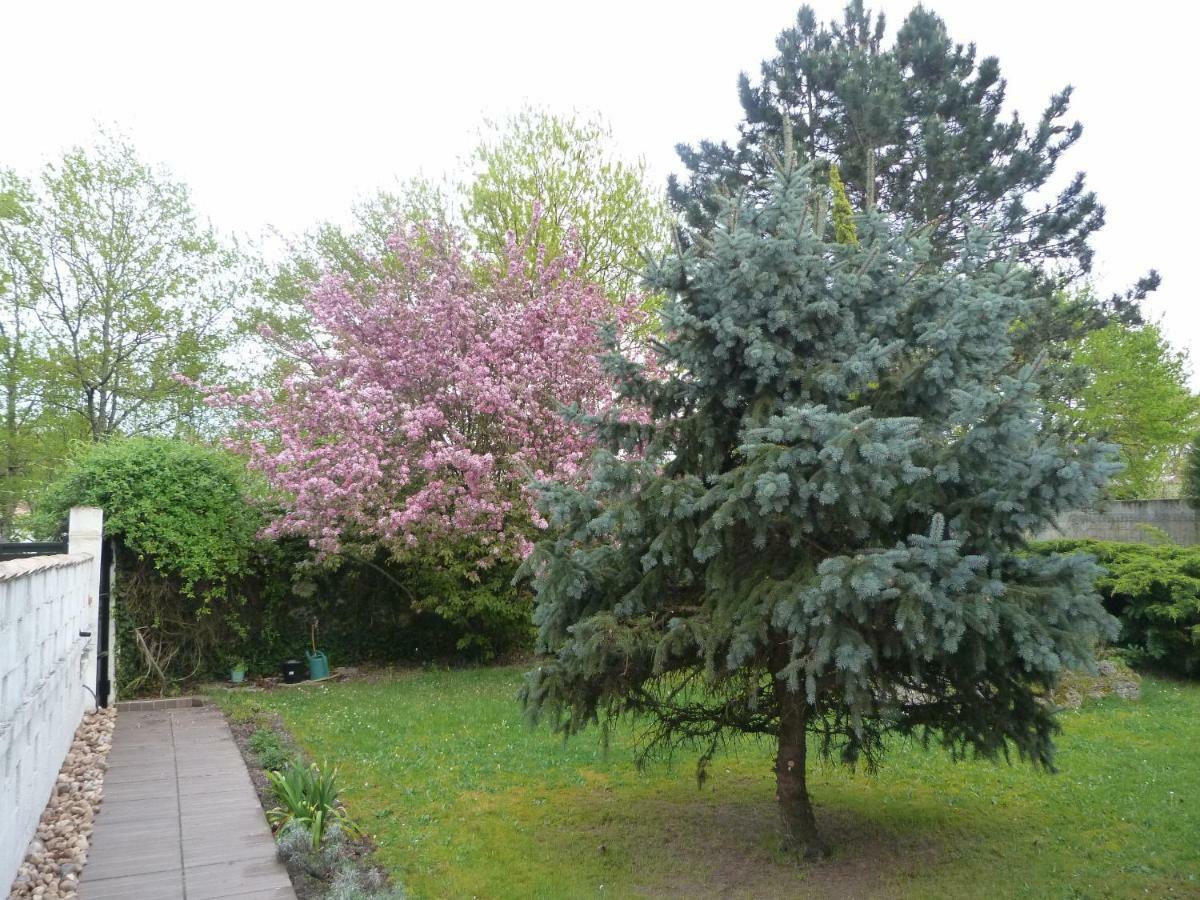 Maison Marysa Mérignac Dış mekan fotoğraf